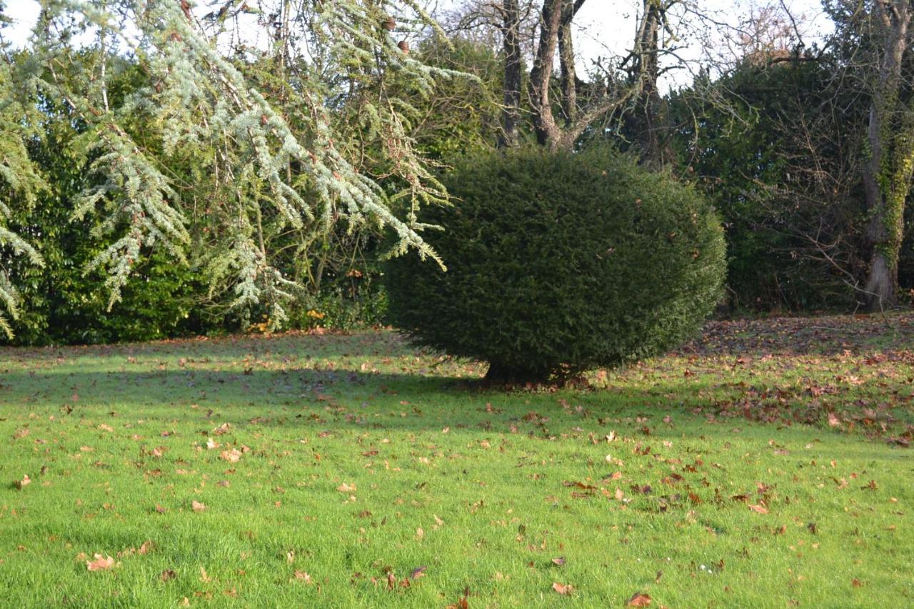 Manoir De Graincourt Hotel Derchigny Bagian luar foto